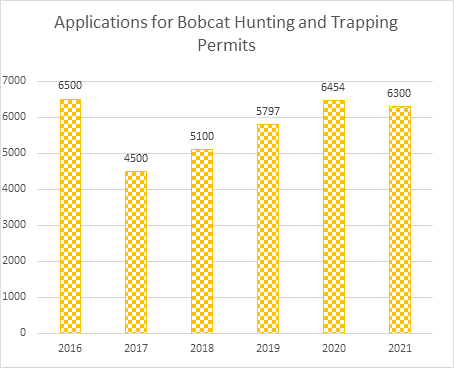 Applications for Bobcat Hunting and Trapping Permits