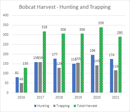 Bobcat Harvest